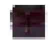 Blackberry Mini Oblong Stud Box