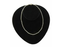 Freshwater Pearl Necklace with Silver Clasp